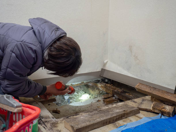 Best Attic Mold Removal  in Brandermill, VA