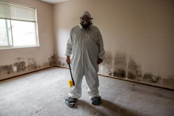 Best Basement Mold Removal  in Brandermill, VA