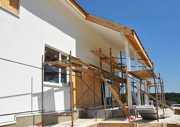 Best Mold Damage Restoration  in Brandermill, VA