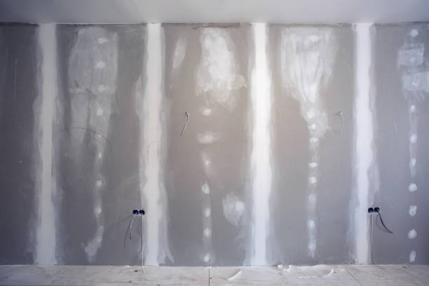 Trusted Brandermill, VA Mold Removal Experts